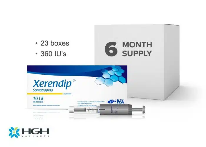 xerendip16-6month