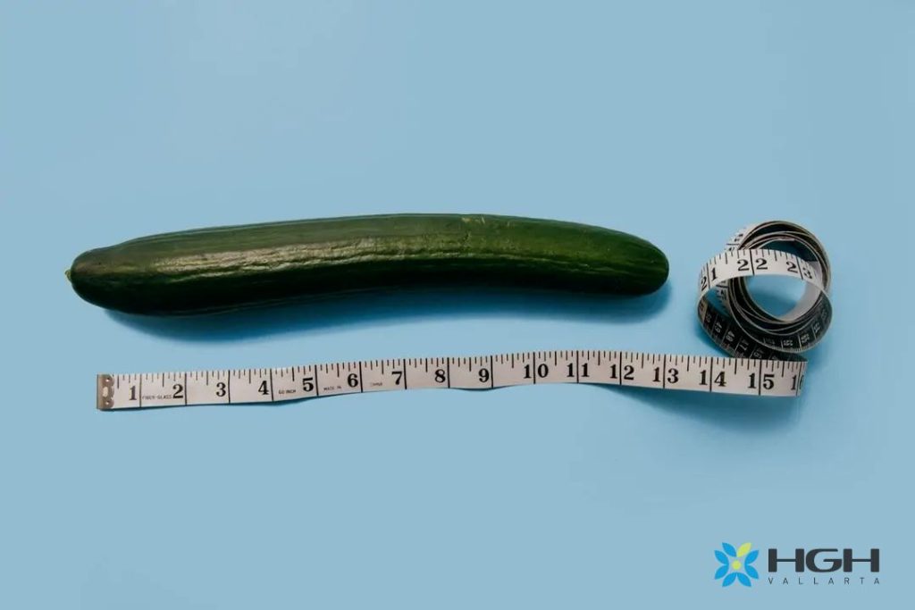 Average Penis Size and Development During Puberty