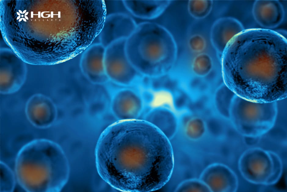 HGH Stem Cells