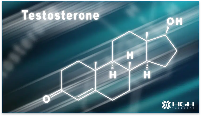 primoteston testosterone