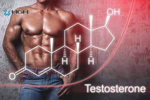 testosterone man and molecule