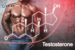 testosterone man and molecule