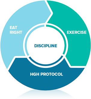 HGH Cycle circle - Eat Healthy, Exercise, HGH Protocol