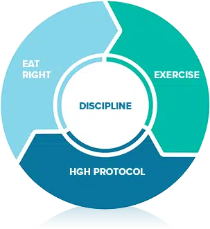 HGH Cycle circle - Eat Healthy, Exercise, HGH Protocol