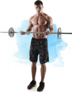 Male body builder in shorts with shirt off holding bar and doing curls to represent HGH dosage for body building