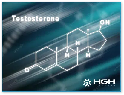 Testosterone dna strand representing HGH cycle growth