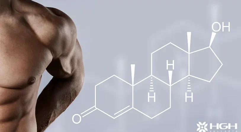 nebido testosterone for muscle gain.png e1736960391152