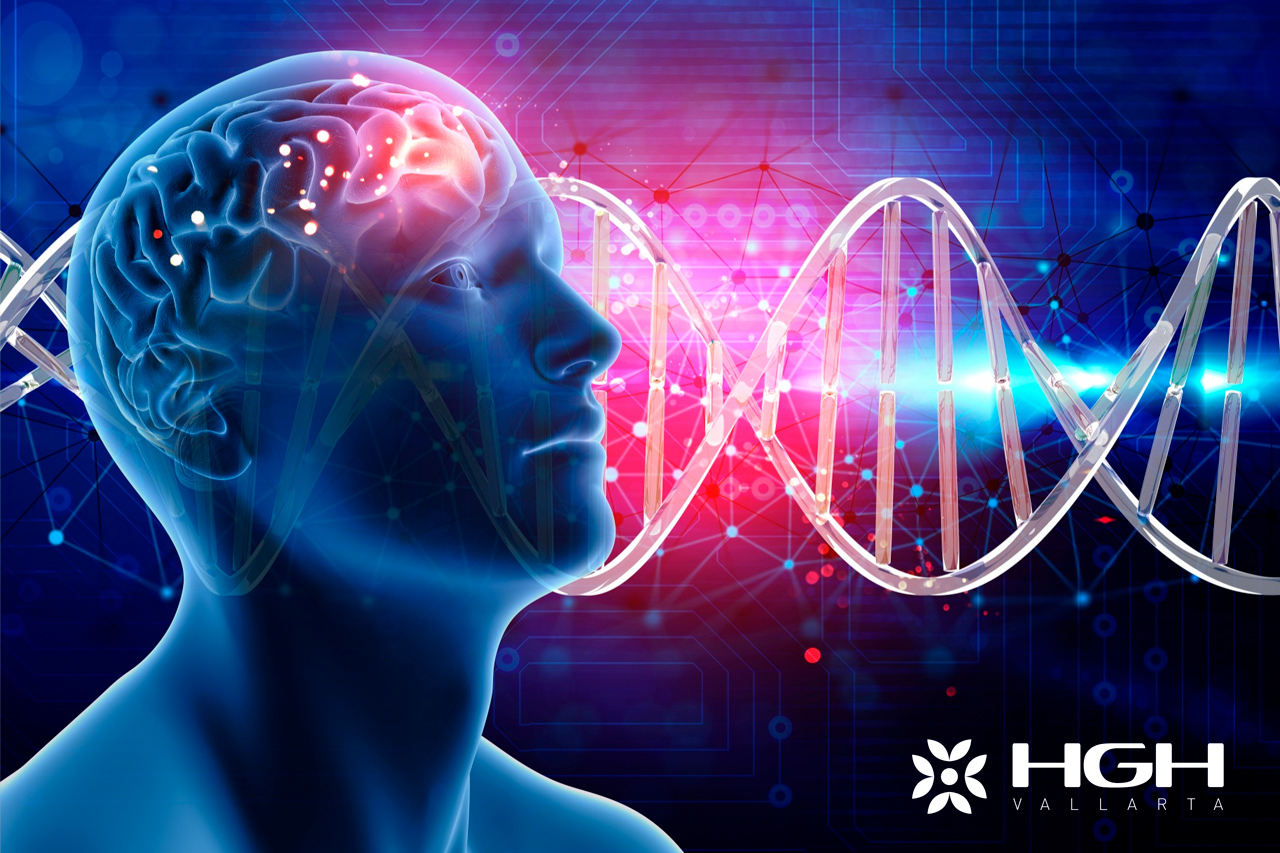 2 HGH and Brain Health A Scientific Perspective