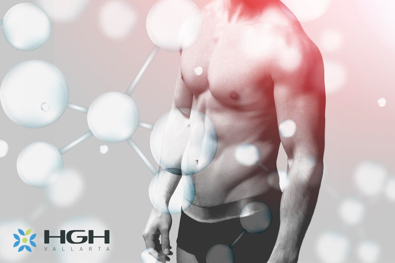 3 How Does HGH Work