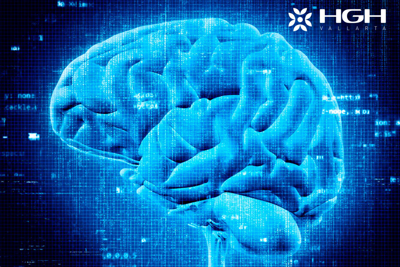 7 HGH and Cognitive Effects How Does HGH Affect the Brain