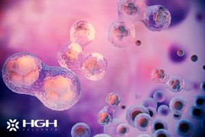 Stem Cell Therapy Success Rate