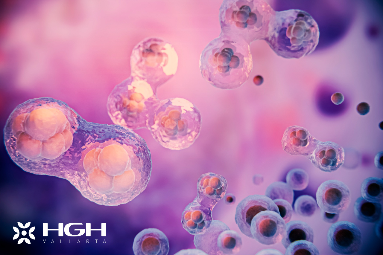 Stem Cell Therapy Success Rate