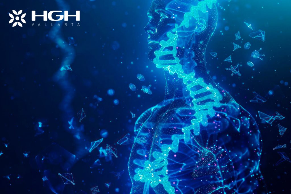 HGH and healthy aging